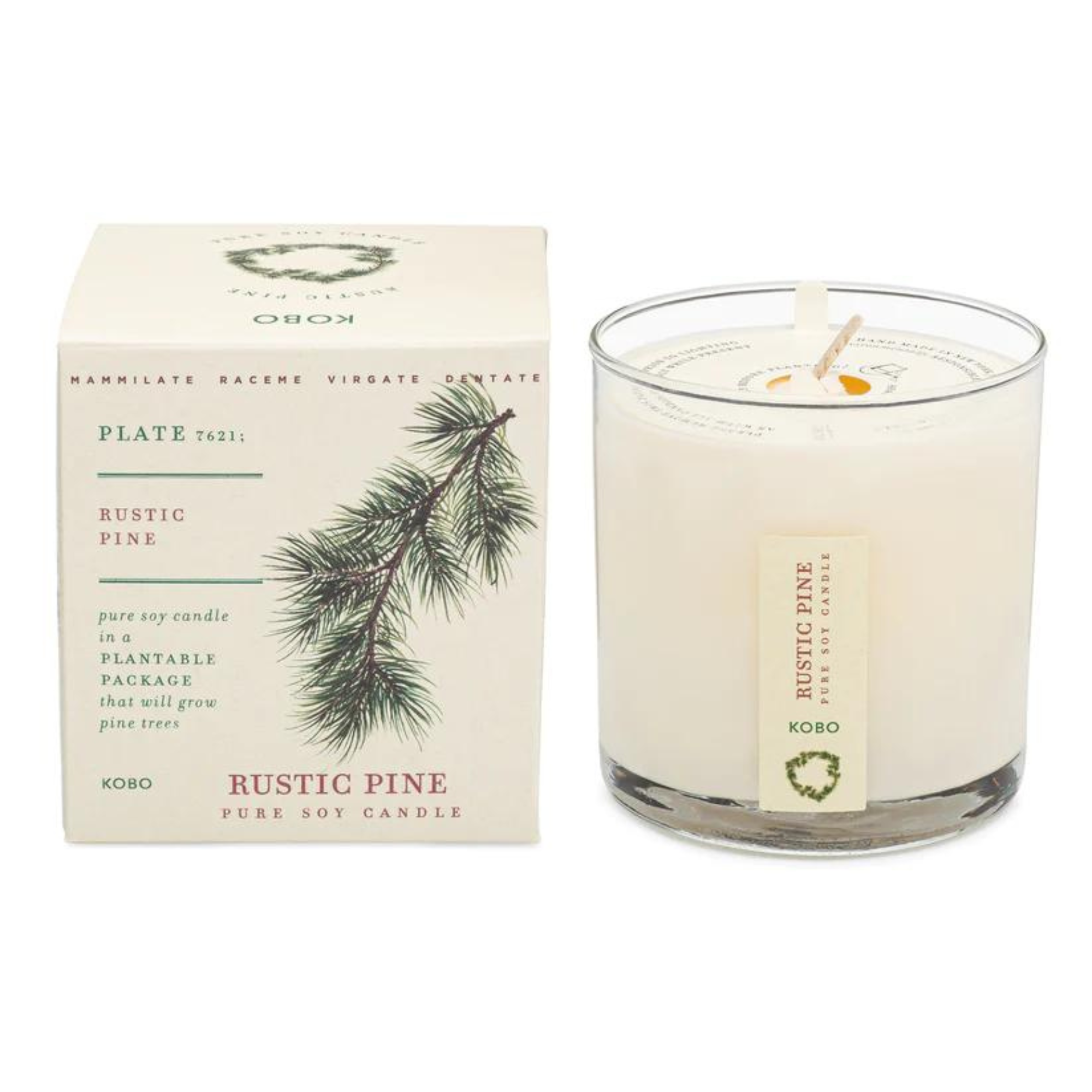 KOBO Rustic Pine Plant the Box Candle (9 oz) #10085659 photo