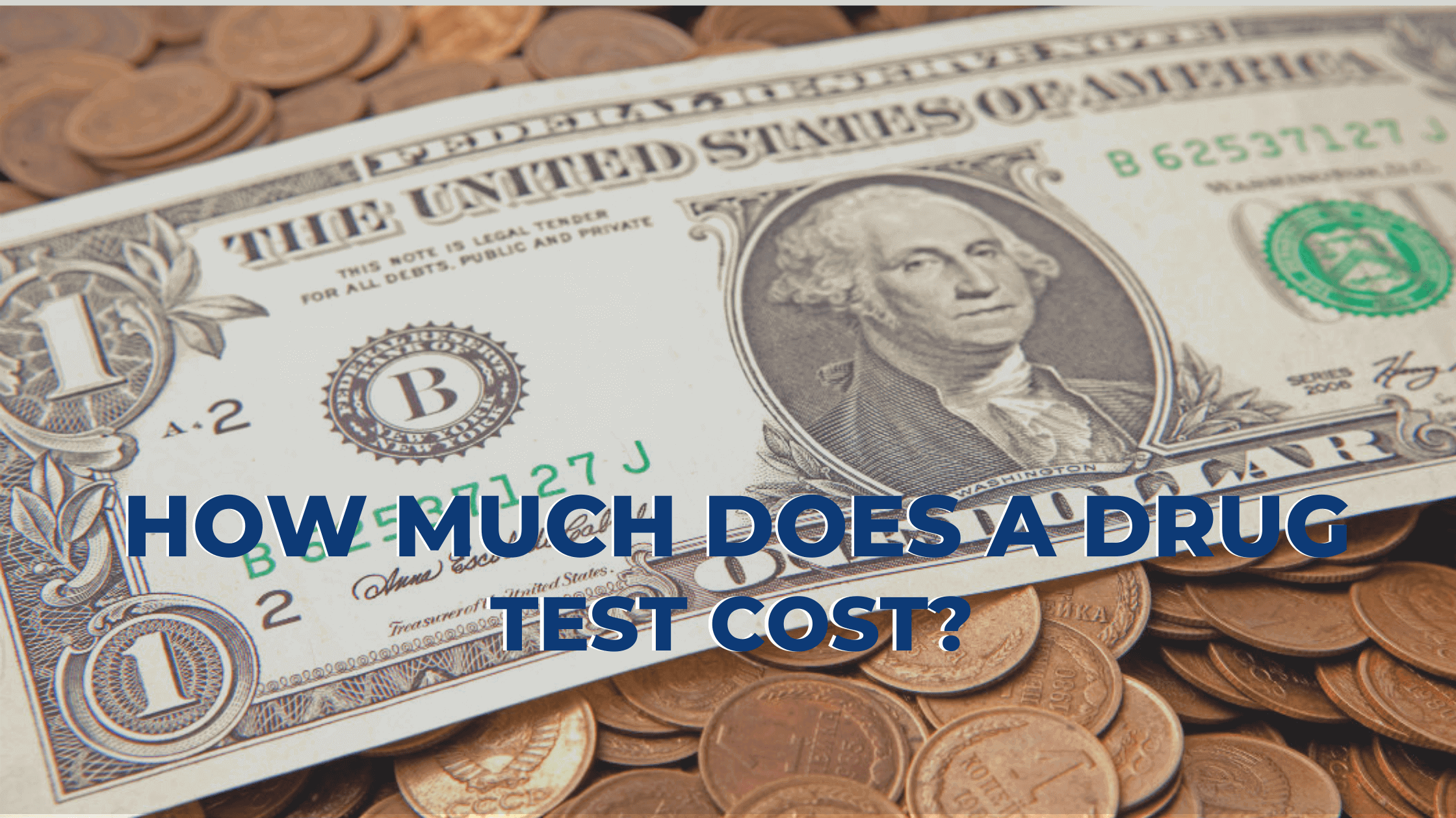 quest diagnostics hair drug test cost