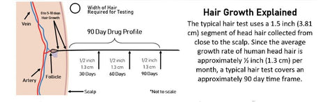 Hair drug test detection times