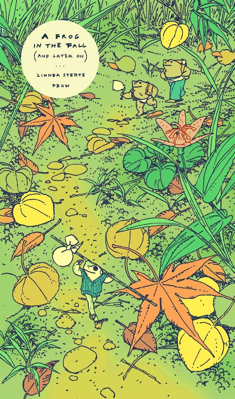 cover of A Frog in the Fall