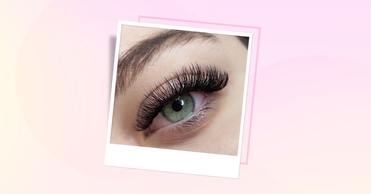 Volume lashes