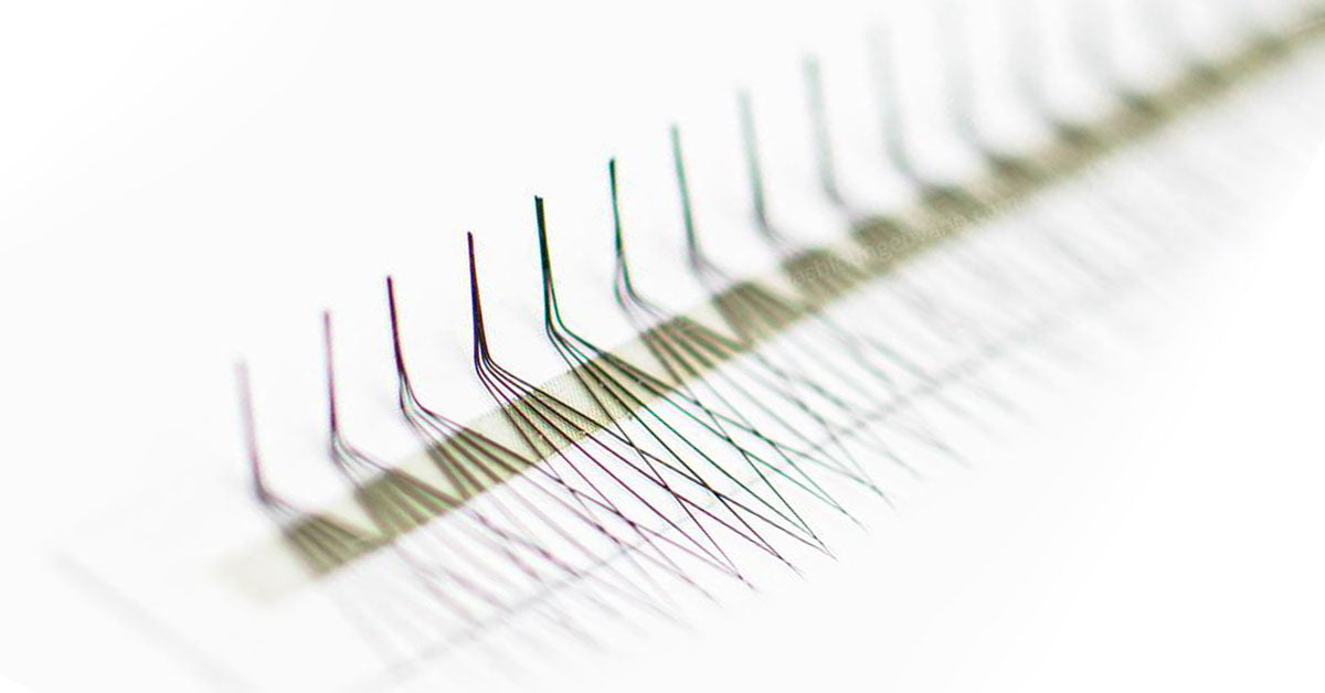 l curl lash extensions