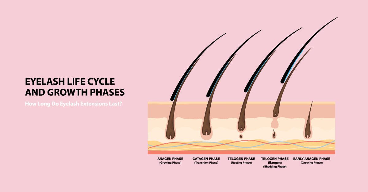 ciclo de vida de las pestañas