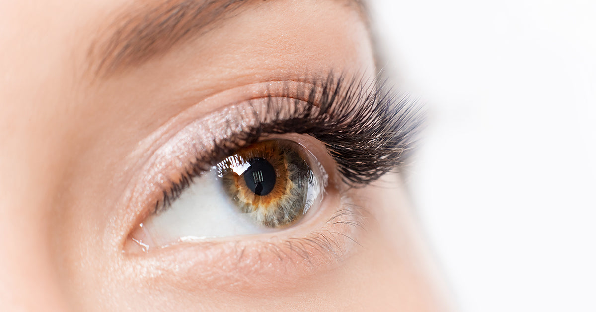 The difference between Acrylic and PBT synthetic lashes