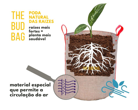 air pruning poda raiz pelo ar na bud bag