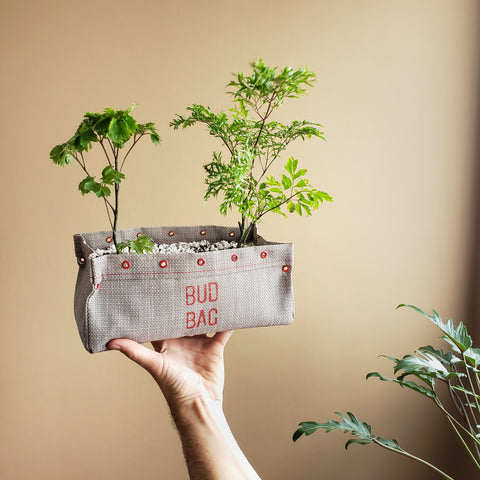 como fazer horta em apartamento bud bag 