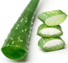 aos Skincare Ingredient Photo Aloe Vera