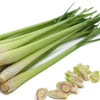 Lemongrass Essential OIl Photo aos Skincare Natural Ingredients Organic Beauty Farm to Face