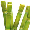 Sugar Cane aos Skincare Natural Ingredients Organic Beauty Farm to Face