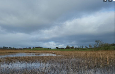 Derry Lough Rockfield Knock Co Mayo