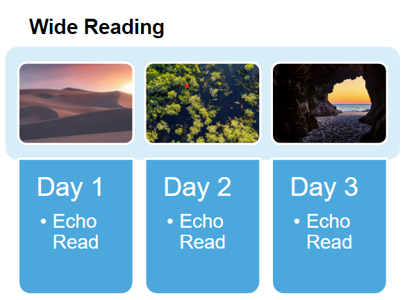 wide reading strategy