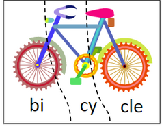 segmenting cards for bicycle