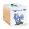 forget-me-not-ecocubes-online-in-dubai-uae