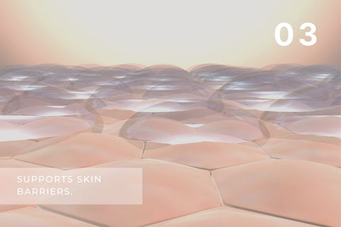 clef-skincare-routine-moisturizing-moisturize-body-skin-barrier