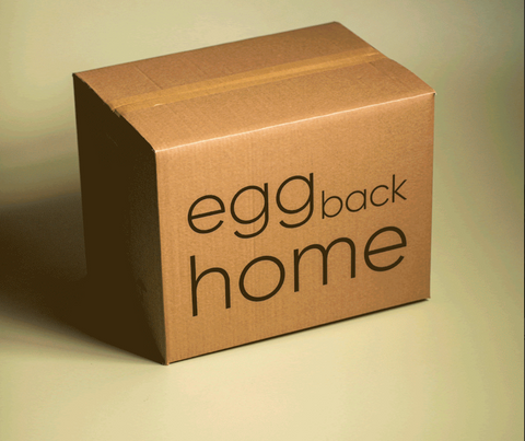 egg back home logo Box