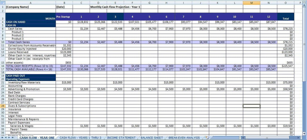 Pro Forma Income Statement Template Excel