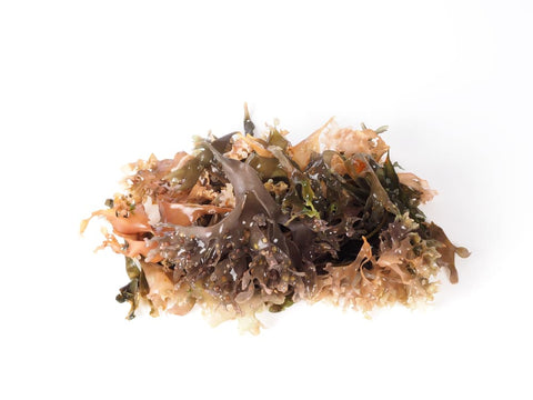 irish sea moss