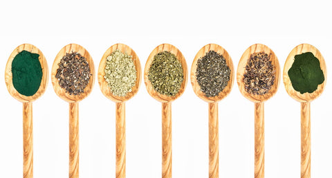 An array of wooden spoons lined up, each containing different types of superfood powders and herbs