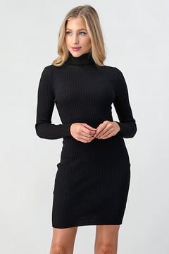 Sweater Dress Ribbed Knit Turtle Neck Mini Dress