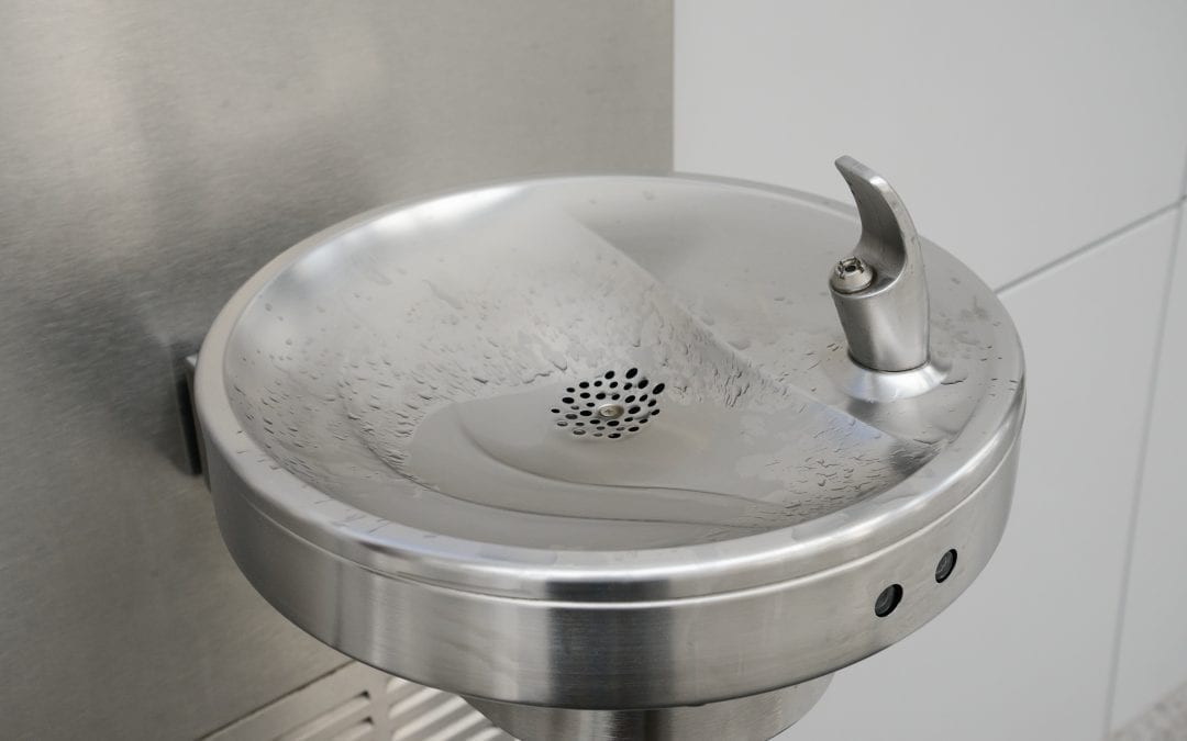 How to Clean Drinking Water Fountains Lemi Shine®