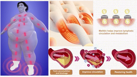 Sfrcord™ Quantum Energy Calcium Carbide Thermal Socks
