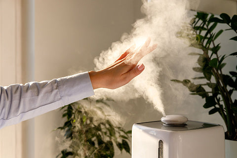 using a humidifier in the winter time