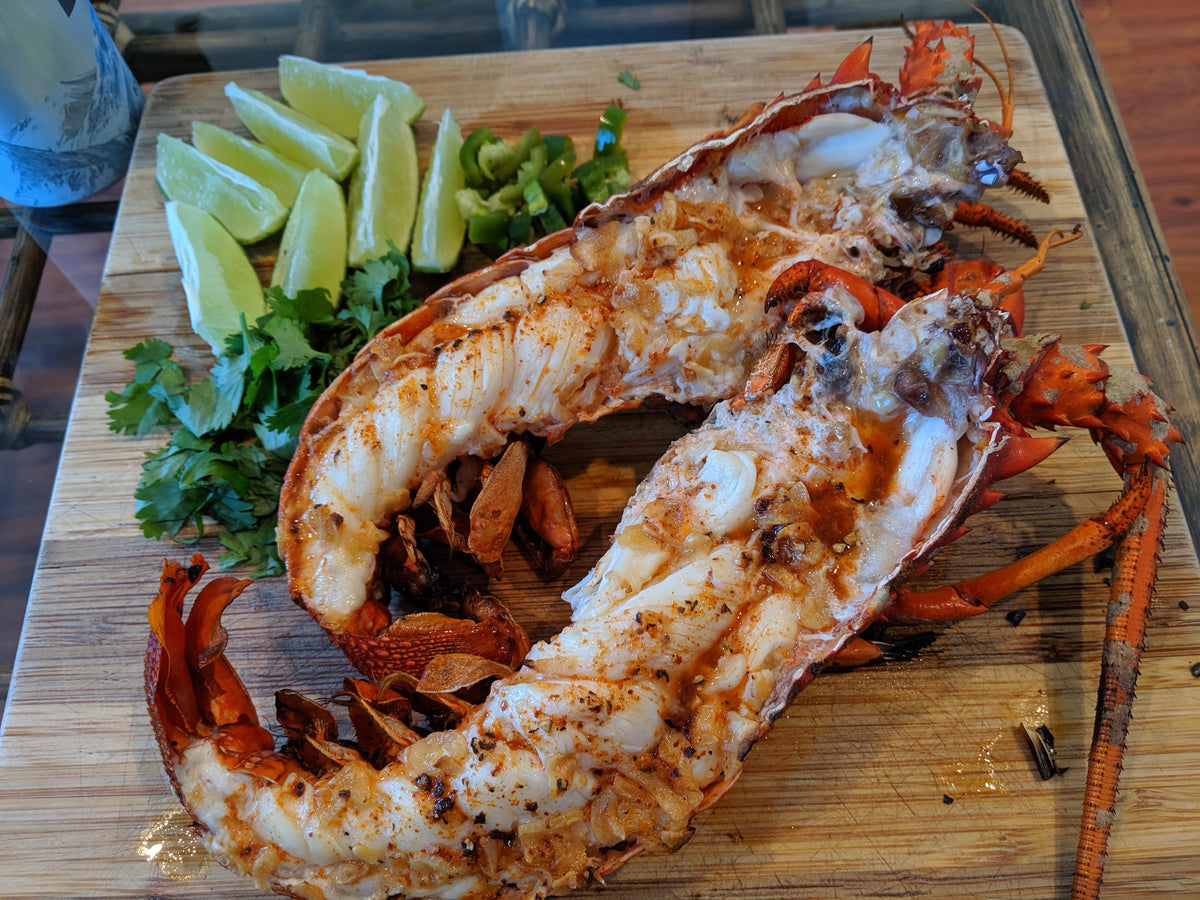Whole Florida Lobsters 1.5lb Each – South Florida Seafood