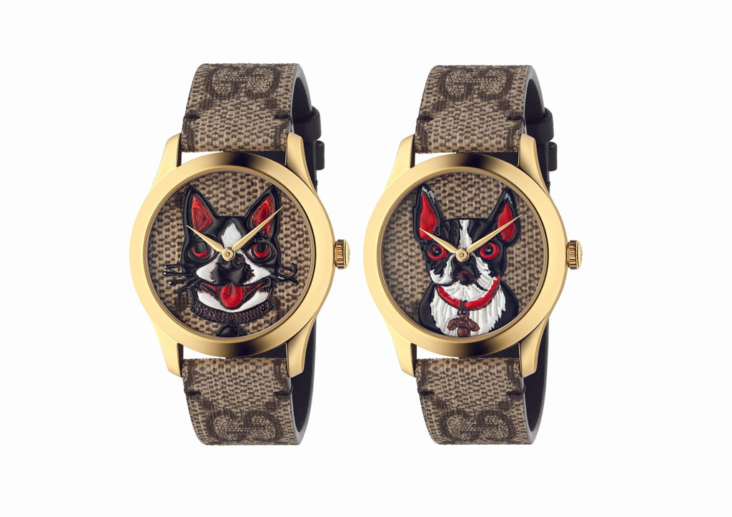 gucci dog watch