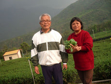 Tea Farmers