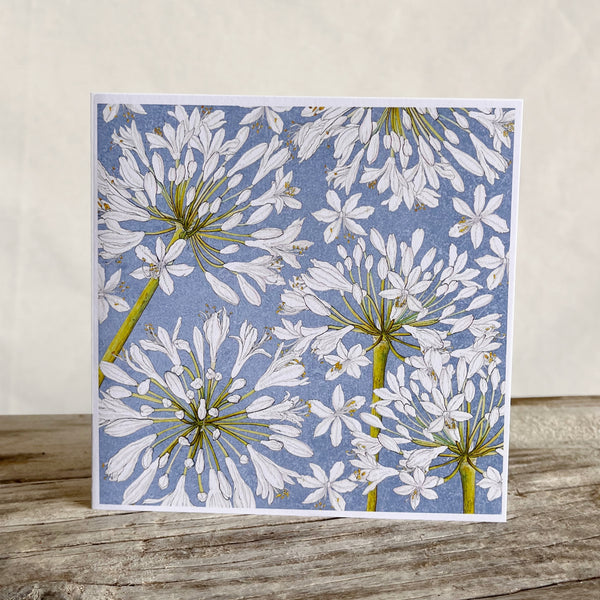 African Lily Greeting Cards