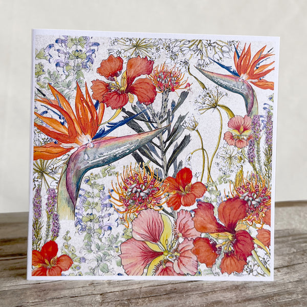 Fynbos Collection Greeting Cards