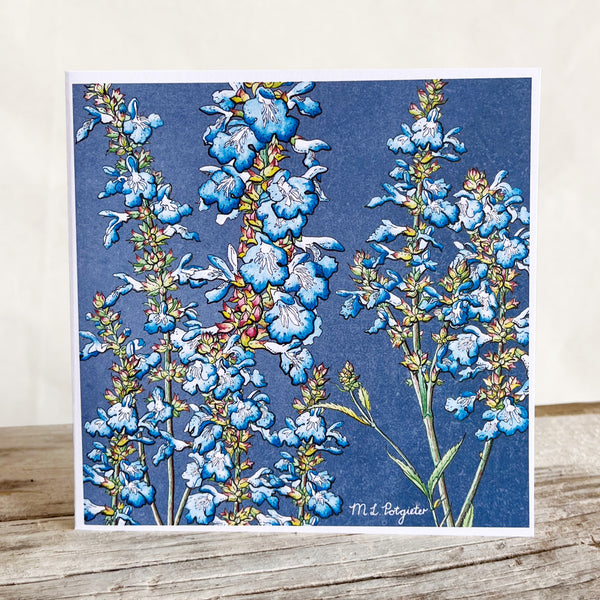 Salvia Greeting Cards