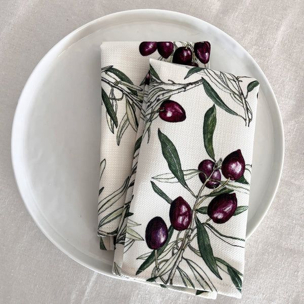 Mediterranean Napkins ~ Set of two