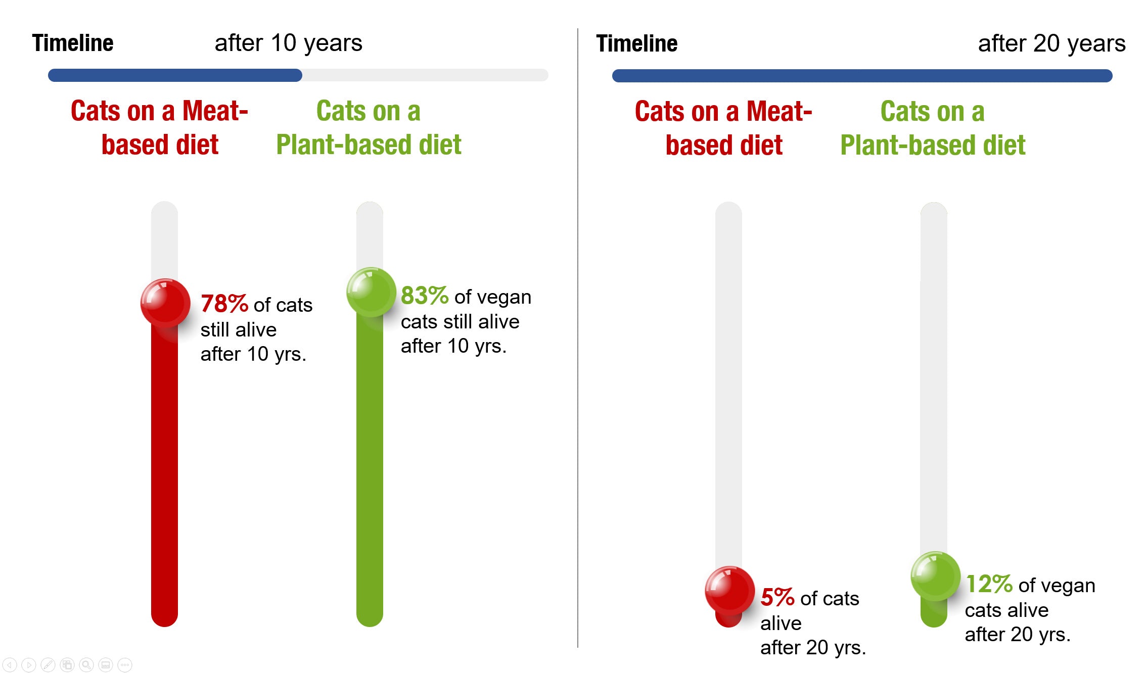 longevity of cats on a vegan diet / lifespan of cats on plant-based diet