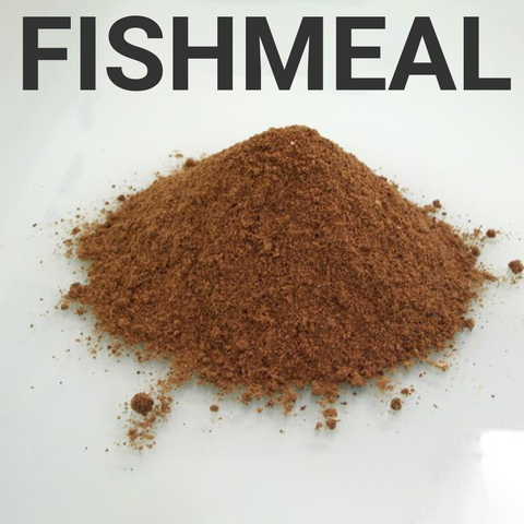 fishmeal is used in pet food