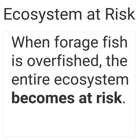 overfishing puts ecosystem at risk and hence people use vegan dog food or vegan cat food