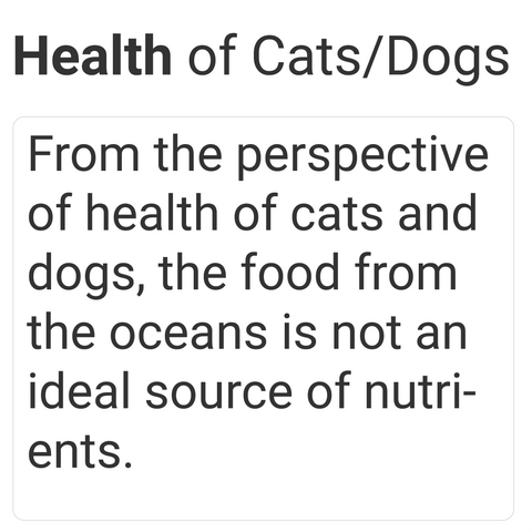 food from ocean is not ideal for cats and dogs