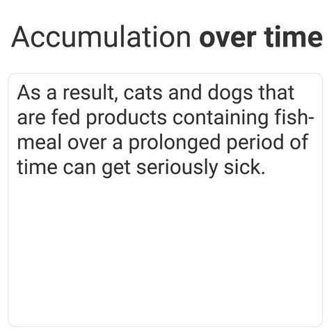 over time cats and dogs that eat pet food with fishmeal can get seriously sick