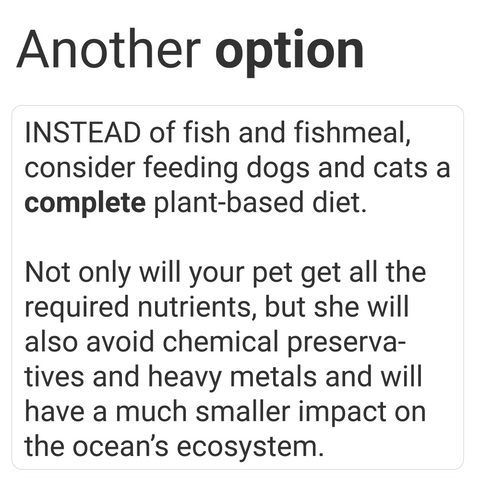 vegan dog food and vegan cat food are great alternatives to fishmeal containing pet foods