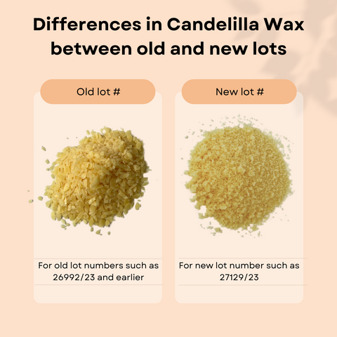 Candelilla Wax - DIY Beauty & Skincare - Vegan Skincare