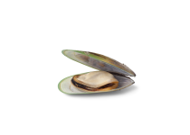 Ingredient Green Lipped Clam Be669102 09A6 4181 A663 - Šlapiosnosys.lt - 2023