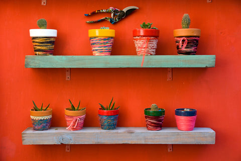 Chunky wooden shelves decorated with colourful ceramic plant pots in front of an orange background