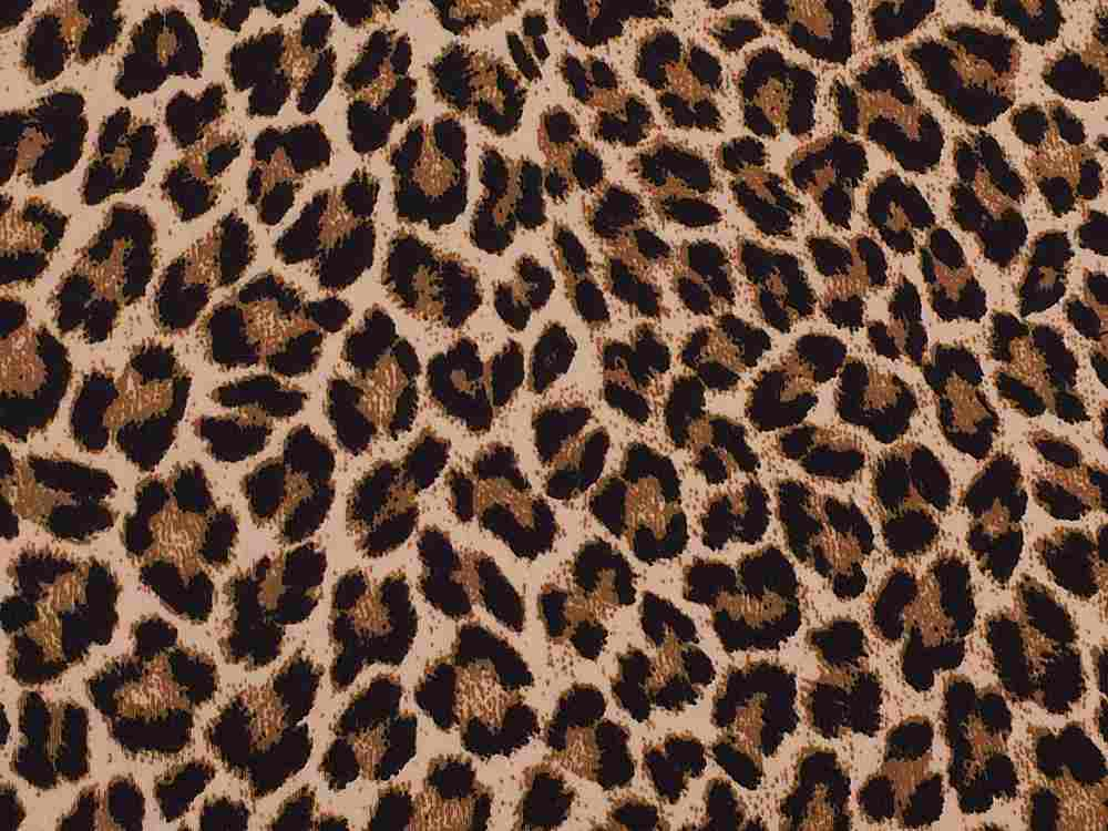 maske erektion fænomen Animal Print Fabrics | Shop Fabric Online | Search for Fabric – Tagged  "SATIN_WOVEN PRINT"– SearchForFabric.Com
