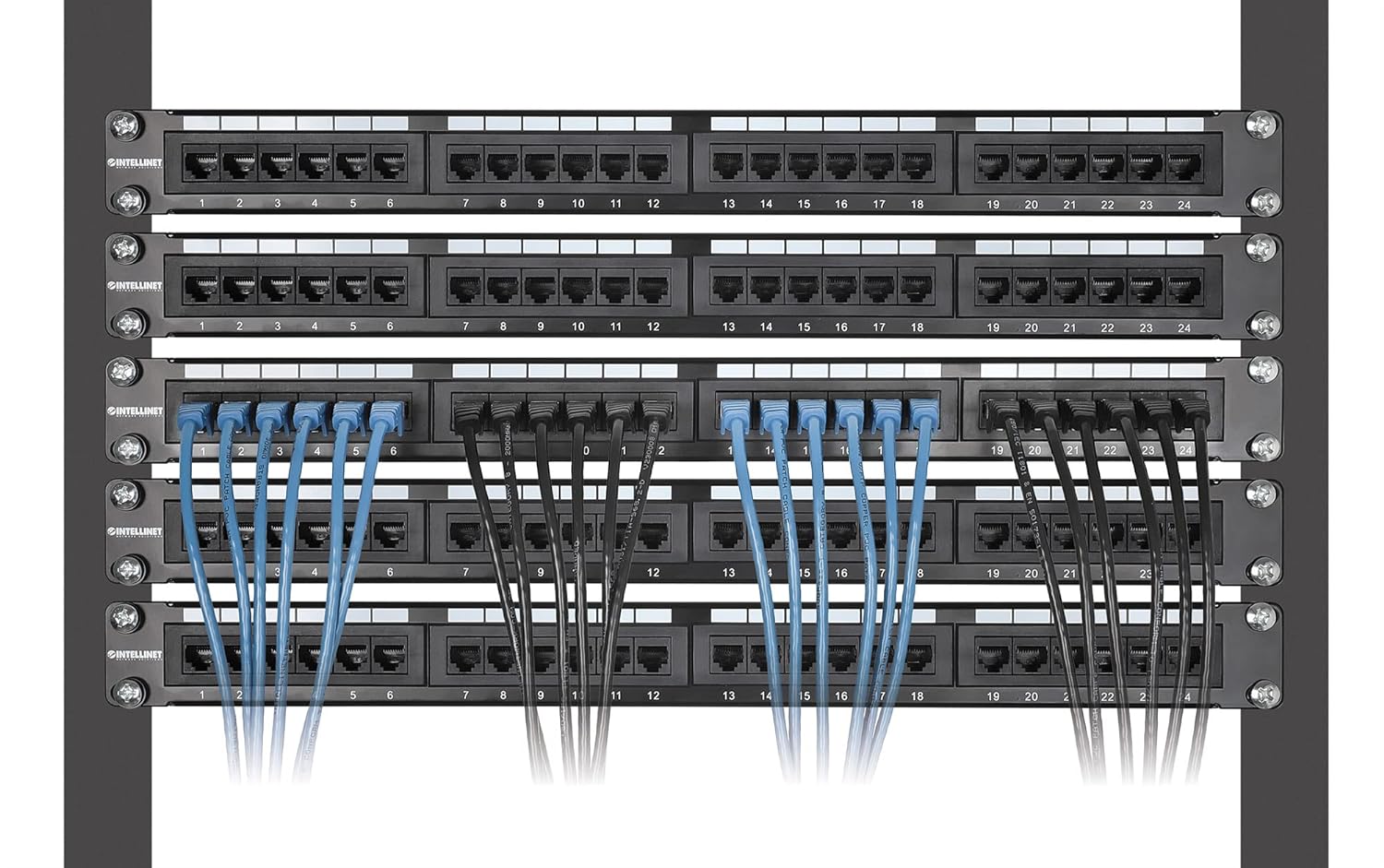 Cat8.1 U/FTP Slim Network Patch Cable, 3 ft., Black, 10-Pack