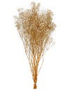 Picture of Flores de Baby Breath Grande Preservadas