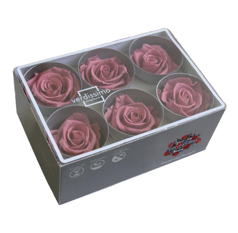 Caja Rosa Preservada Sin Tallo (Verdissimo) – Artiflora