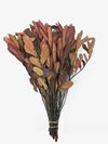 Follaje de Encino Deshidratado-Artiflora