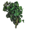 Follaje de Galvia Deshidratada-Follaje-Artiflora-Verde-Artiflora