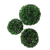 Juego de Esferas Decorativas de Arrayán Verde Deshidratado-Artiflora