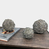 Juego de Esferas Decorativas de Lichen Deshidratado-Artiflora